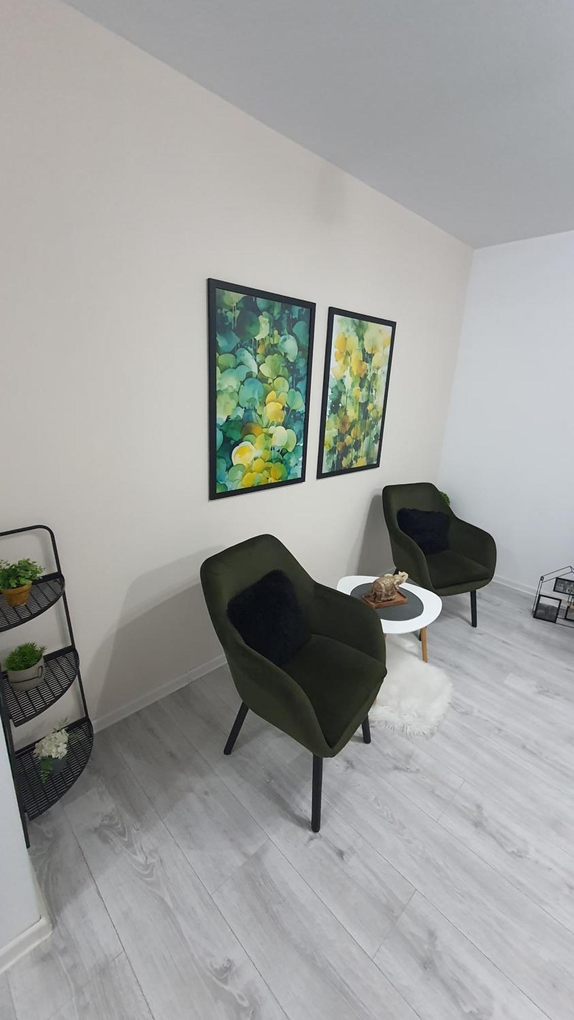 Green Apartment Coresi Brașov Exterior foto